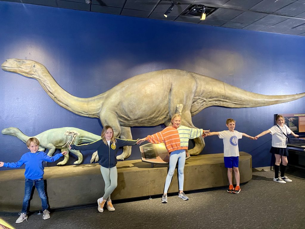 5 children holding hands, arms stretched out to be as long as the sauropodomorph dinosaur on the wall behind them. Sauropodomorph dinosaur is long necked, on four legs.