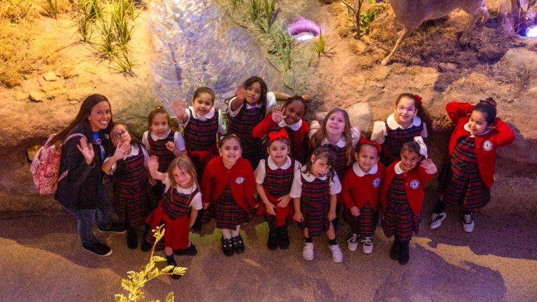 Field trip of girls in red uniforms, standing in Texas Wild Gallery, looking up.