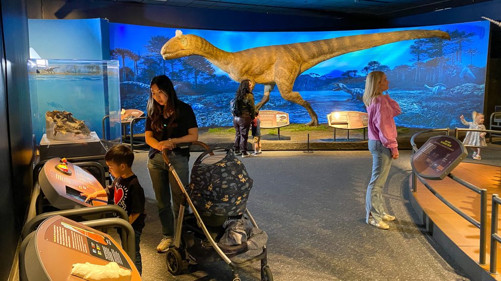 Mom pushing stroller, son peering into display case. Another woman in the background looking at the cryolophosaurus model.