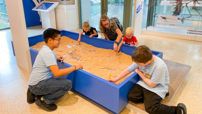 Two middle-school-aged boys and one family (mom and two toddlers) dig in the dinosaur dig sandbox.