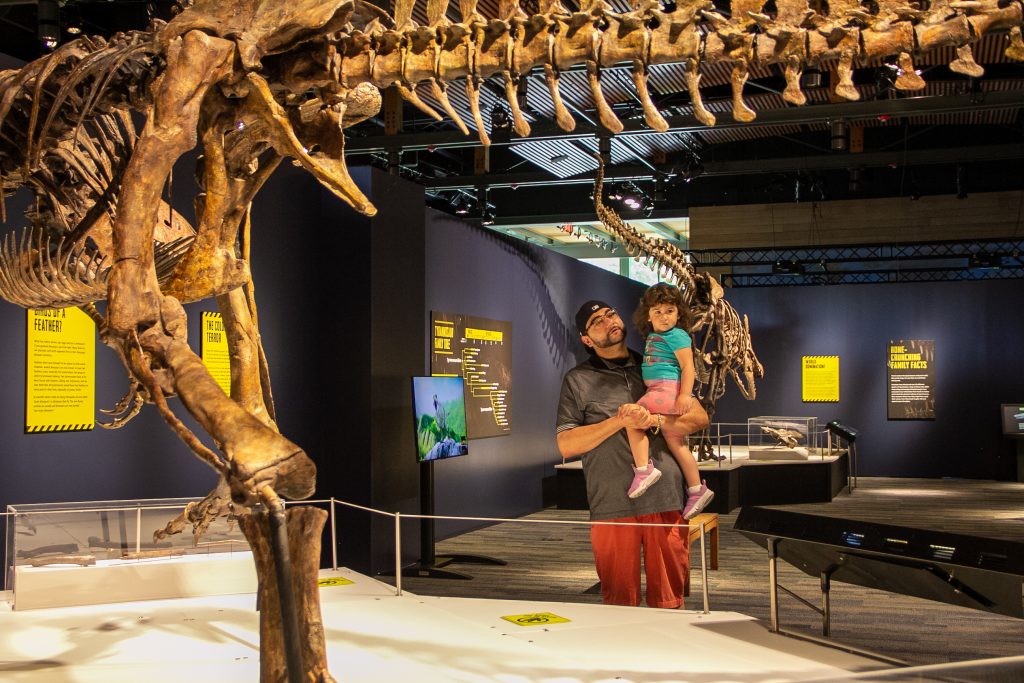 Father holding daughter between dinosaur fossils.