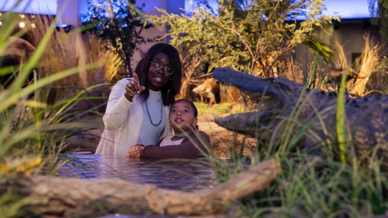 mother and daughter stand behind alligator.