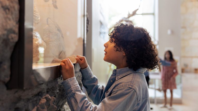 young boy peers into a display case