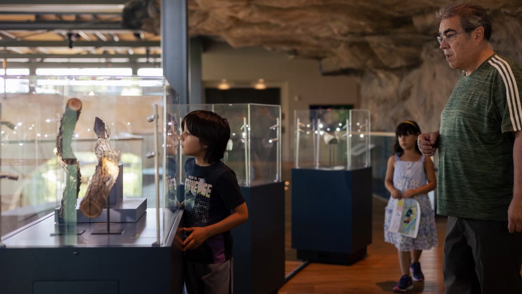 Father and children awe while looking at meteorites.